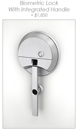 Biometric Lock - with integrated handle